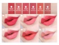 Тинт для губ бархатный Labiotte Chateau Wine Velvet Lip Tint