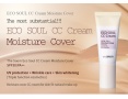 СС крем-корректор  The Saem  Eco Soul CC Cream SPF30/PA++