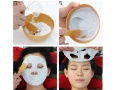 Антивозрастная питательная маска Anskin Aroma Modeling Mask Refill