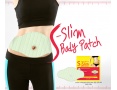 Корректирующий пластырь для тела Secret Key S-Slim Body Patch