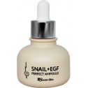 Сыворотка для лица с экстрактом улитки Secret Skin Snail and EGF Perfect Ampoule