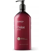 Шампунь для окрашенных волос с гибискусом Aromatica Hibiscus Color Care Shampoo
