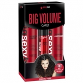 Набор для волос Sexy Hair Big Volume Care Set