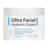 Антивозрастной функциональный крем для лица с гиалуроновой кислотой FoodaHolic Ultra Facial Hyaluron Cream