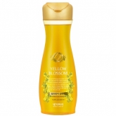 Шампунь против выпадения волос Daeng Gi Meo Ri Yellow Blossom Shampoo