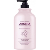 Восстанавливающая маска для волос Pedison Institut-Beaute Aronia Color Protection Treatment