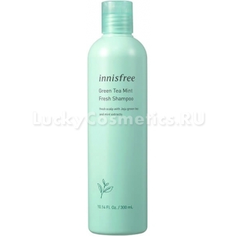 Шампунь для волос с экстрактом мяты Innisfree Green Tea Mint Fresh Shampoo