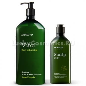 Шампунь для глубокого очищения Aromatica Rosemary Scalp Scaling Shampoo