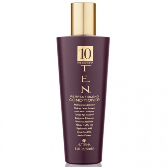 Кондиционер для волос Alterna The Science of TEN Perfect Blend Conditioner