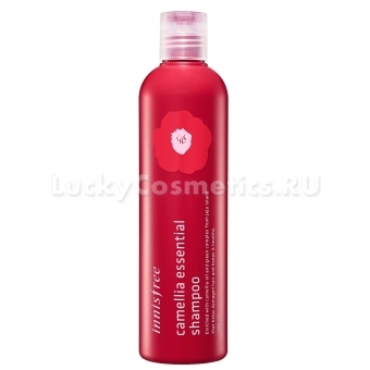 Бессиликоновый шампунь с маслом камелии Innisfree Camellia Essential Shampoo