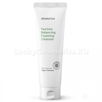 Пенка для умывания с экстрактом чайного дерева Aromatica Tea Tree Balancing Foaming Cleanser