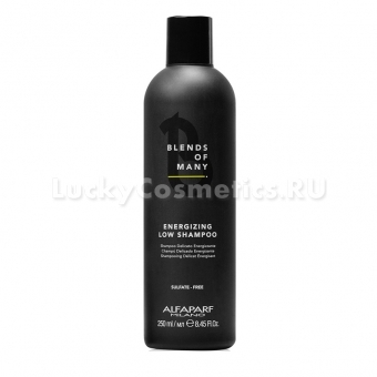 Деликатный энергетический шампунь Alfaparf Milano Energizing Low Shampoo 