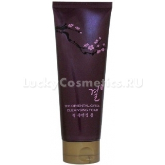 Пенка для умыванияTony Moly The Oriental Gyeol Cleansing Foam