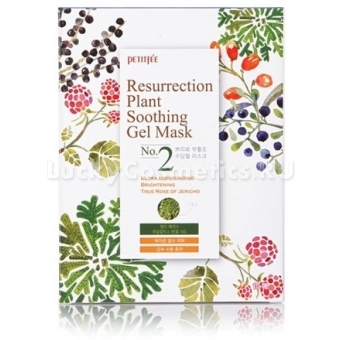 Увлажняющая маска для лица Petitfee Ressurection Plant Soothing Gel Mask