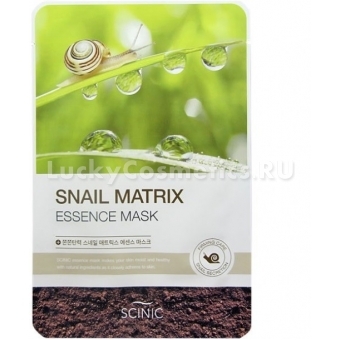 Тканевая маска с улиточной слизью Scinic Snail Matrix Essence Mask