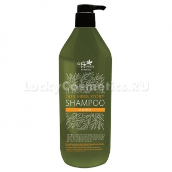 Шампунь для повреждённых волос и раздражённой кожи головы Our Herb Story Shampoo