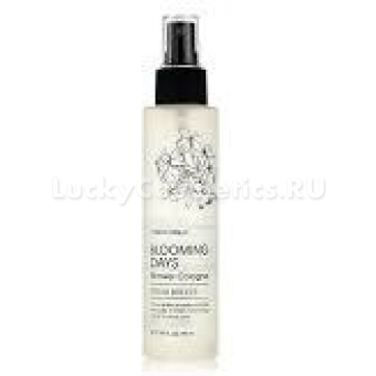 Парфюмированный спрей для тела Tony Moly Blooming days Shower Cologne Fresh Breeze