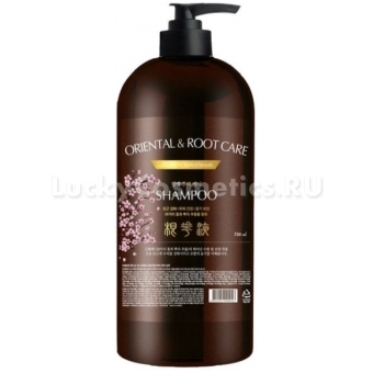 Шампунь для укрепления корней волос Pedison Oriental And Root Care Shampoo