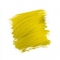 Canary Yellow =910р.