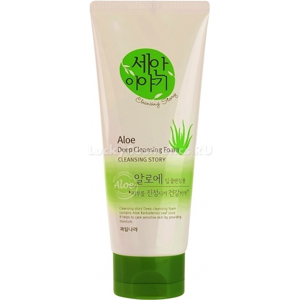 Welcos Cleansing Story Foam