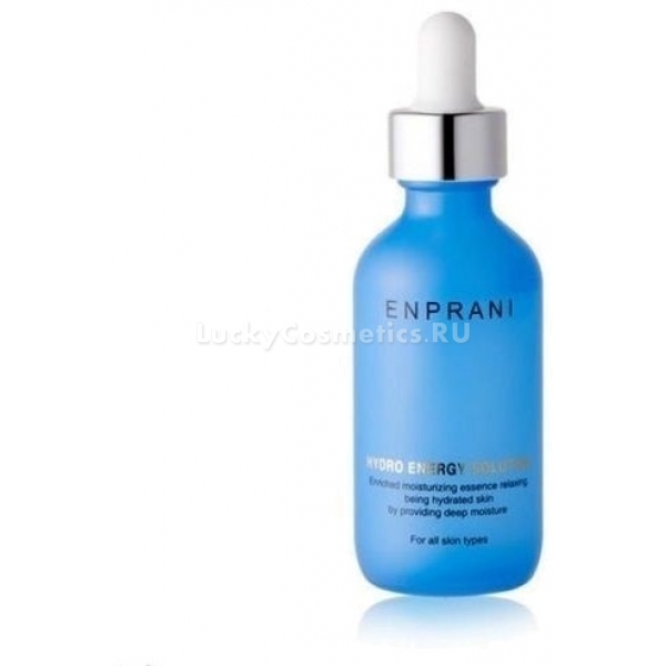 Enprani Hydro Energy Solution