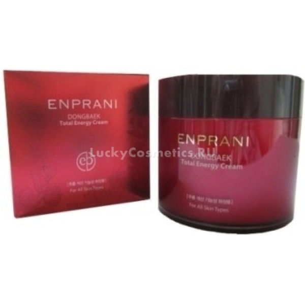Enprani Dongbaek Camelia Total Energy Cream