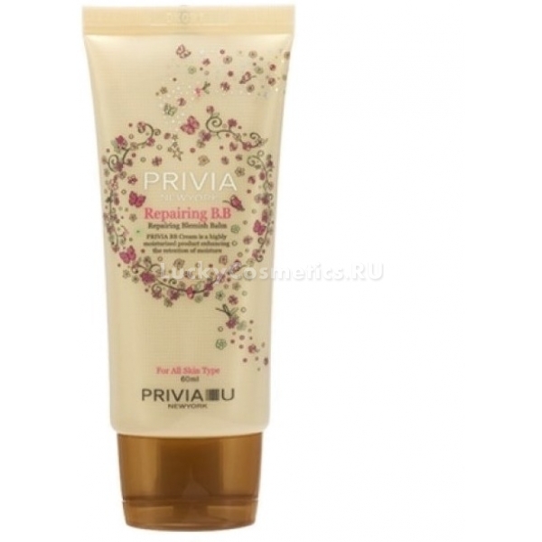 BB Privia Repairing
