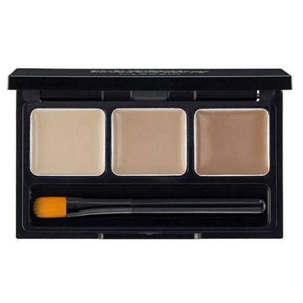 

The Saem Cover Perfection Smart Concealer Kit