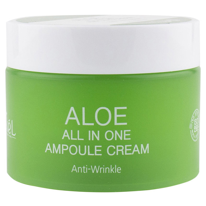 

Ekel All In One Ampoule Cream Aloe
