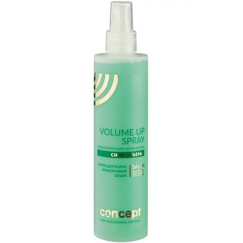 

Concept Volume Up Spray