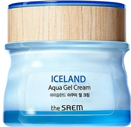 

The Saem Iceland Aqua Gel Cream