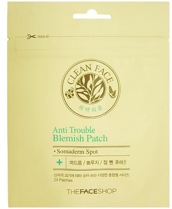 

The Face Shop Anti Trouble Blemish Patch