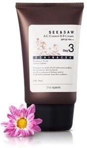 

The Saem See and Saw AC Control