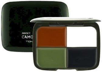 

Tony Moly Perfect Camo Cream